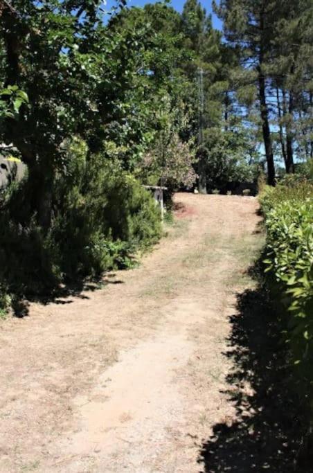 Appartement Tout Equipe En Rez-De-Jardin Entre Gard Et Ardeche Saint-Julien-de-Peyrolas Zewnętrze zdjęcie